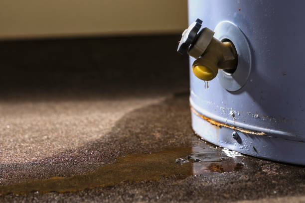 Spring Glen, UT Water damage restoration Company