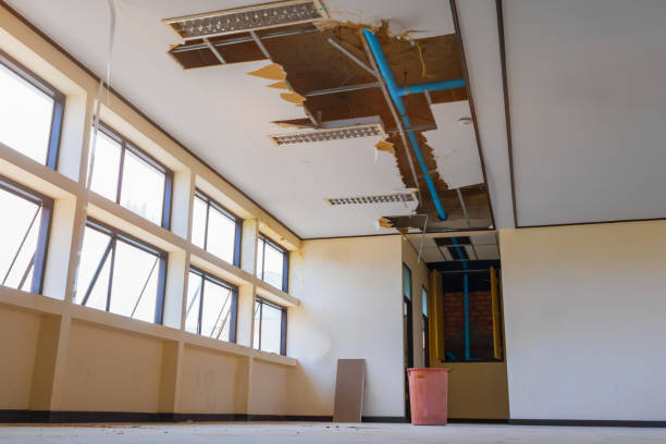 Best Water damage contractors near me  in Spring Glen, UT
