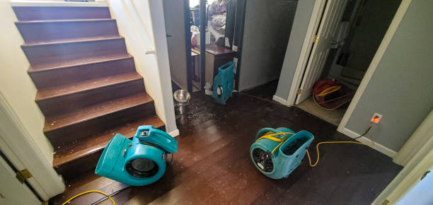 Best Emergency water extraction  in Spring Glen, UT