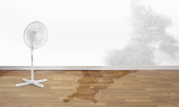 Best Water damage repair service  in Spring Glen, UT