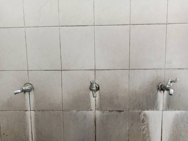 Best Water damage restoration insurance claims  in Spring Glen, UT