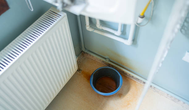 Best Carpet water damage restoration  in Spring Glen, UT