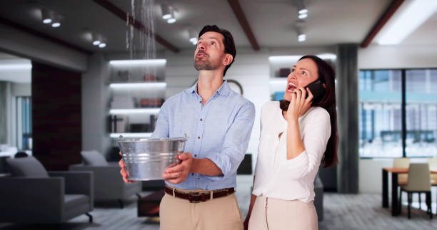 Best Professional water damage repair  in Spring Glen, UT