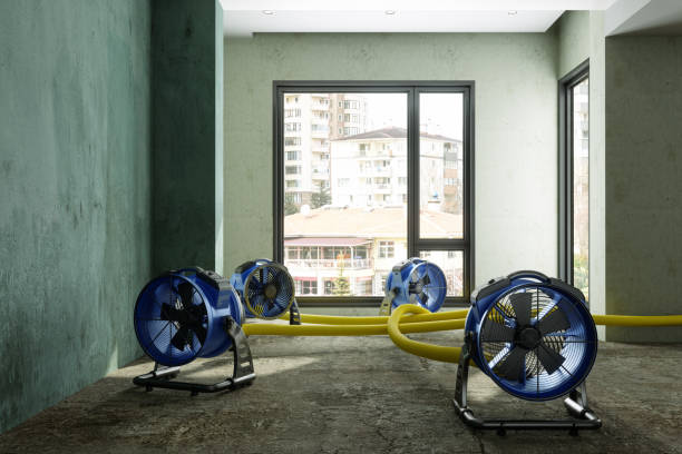 Best Water damage restoration near me  in Spring Glen, UT